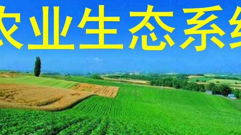 以下是一些在山东地区具有良好口碑的粮食种植厂家直销：