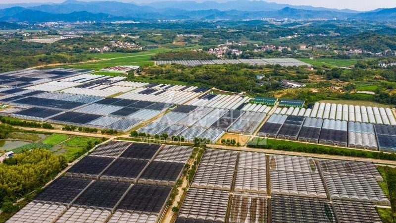 水果种植合作社年收入计算：关键步骤与注意事项