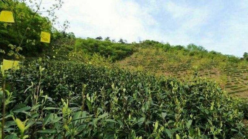 智慧农业主机设备主要分为以下几类：