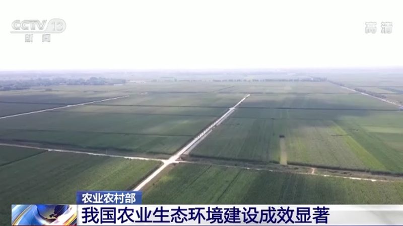 进口农产品批发代理：如何把握市场脉搏，开启财富之门