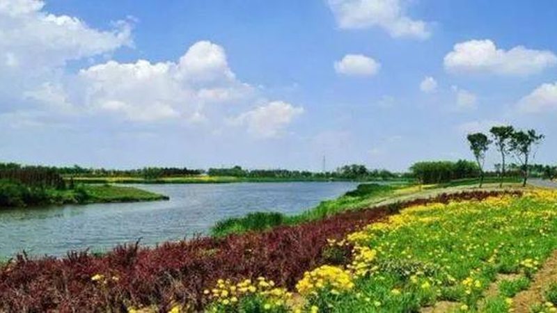 农产品社区团购：如何搭建有效的营销渠道**