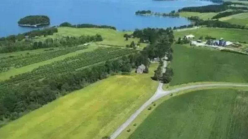 水稻生物防治最佳时机：如何抓住关键节点