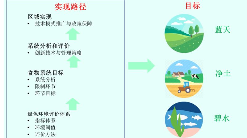 绿色食品认证有效期：了解其重要性及管理要点