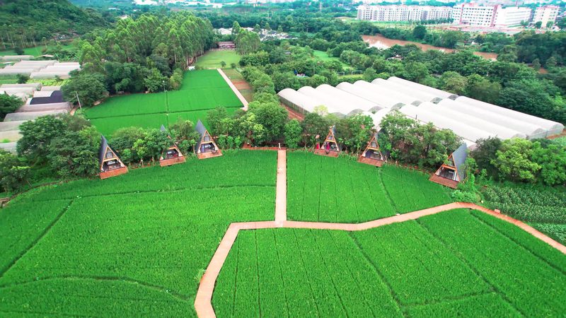现代农业示范区建设标准验收细则全解析