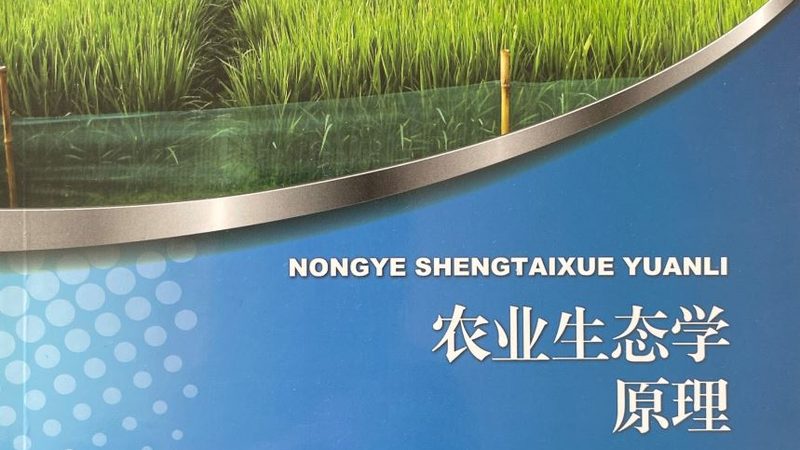 大棚加温设备选型关键：如何兼顾效率和成本**
