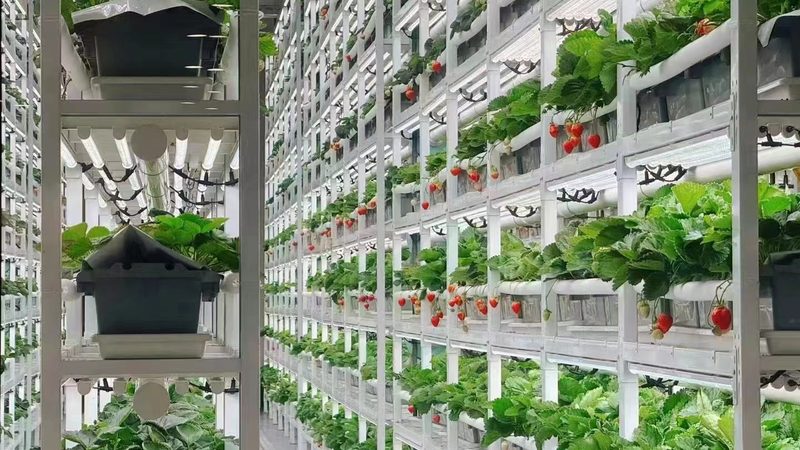 广州农产品批发档口入驻全流程解析**