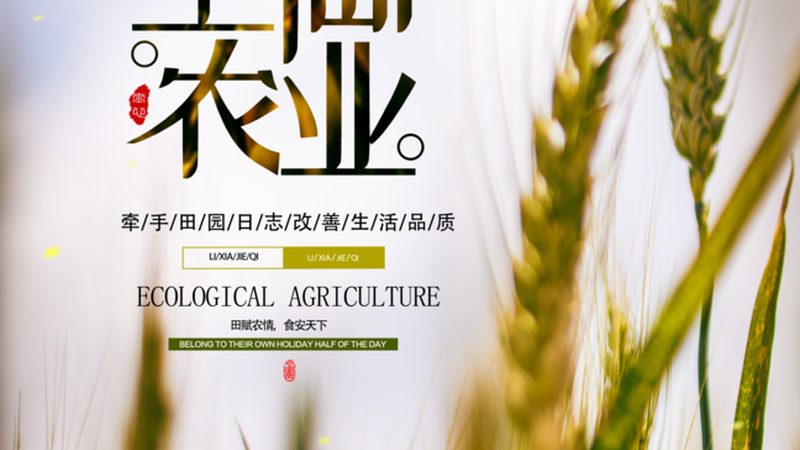菜市场批发价查询秘籍：掌握这5招，你也能成为行家**